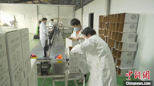 新疆昌吉葡萄酒企業(yè)忙 訂單 力爭實現(xiàn)首季 開門紅