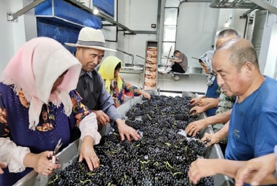 日媒:中國葡萄酒進(jìn)入全球主流市場 法國米其林給予最高級評價(jià)