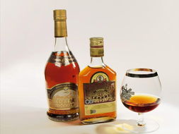 水井坊英國面市