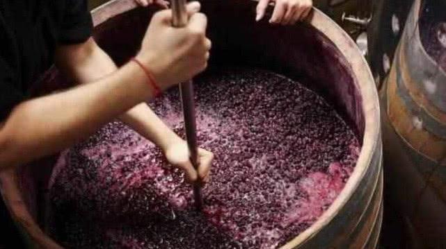 國外高端的葡萄酒,真是用腳踩出來的嗎?看完你還敢不敢喝
