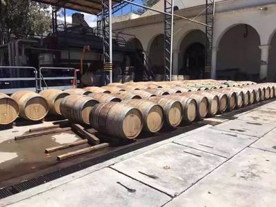 去阿根廷吃羊駝是一種什么樣神奇的體驗?